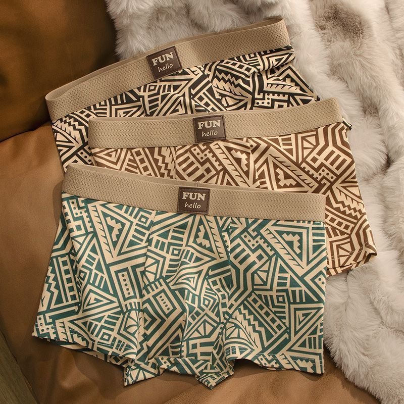 Mateo Printed Trunk Briefs