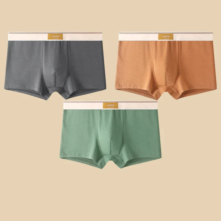 Elio Cotton Stretch Briefs Set