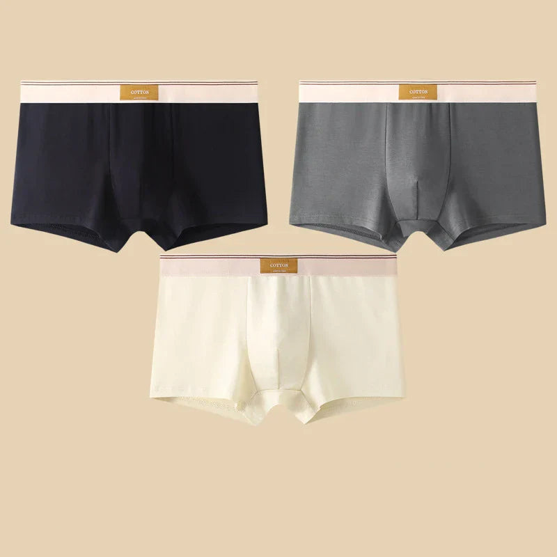 Elio Cotton Stretch Briefs Set