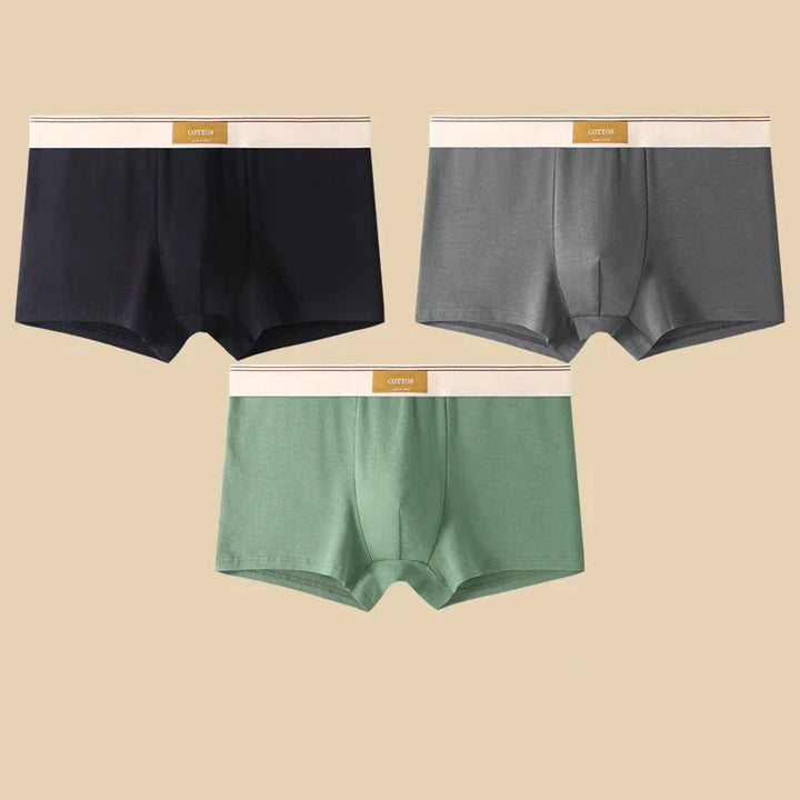 Elio Cotton Stretch Briefs Set