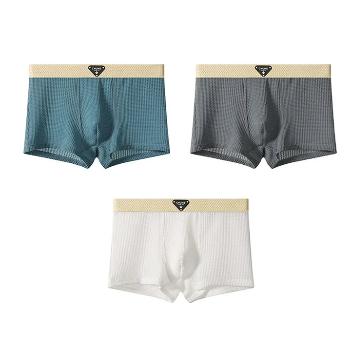 Gianni Ice Silk 3-Pack Boxer Briefs